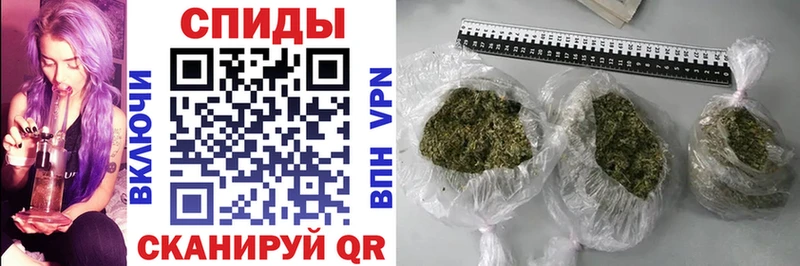 БУТИРАТ буратино  Купить где  Архангельск 