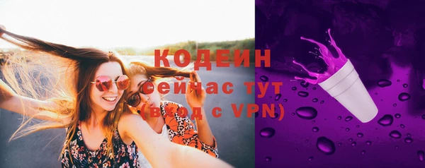 спиды Лабытнанги