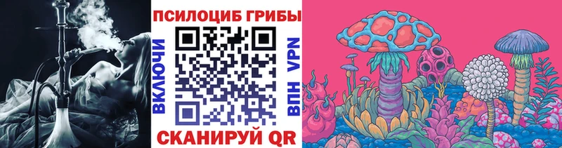 Купить закладки  Архангельск  Галлюциногенные грибы ЛСД 